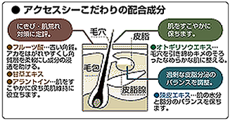 アクセスシーこだわりの配合成分　メンズコスメ 男性用化粧品通販｜ザスインターナショナル