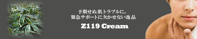 緊急クリーム：Z119クリーム　メンズコスメ 男性化粧品通販｜ザスインターナショナル