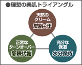 肌と汗の関係について、理想の美肌トライアングル｜男性化粧品・メンズコスメ通販のザス-zas　