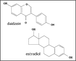 分子構造