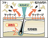 発毛・育毛対策｜男性化粧品・メンズコスメ通販のザス-zas