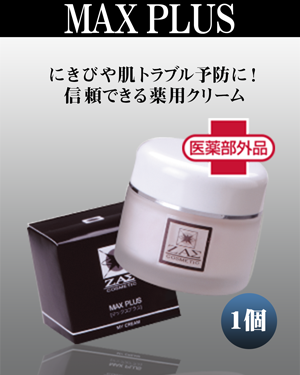 和漢植物エキス化粧水,メンズコスメ 男性化粧品通販|ザスインターナショナル