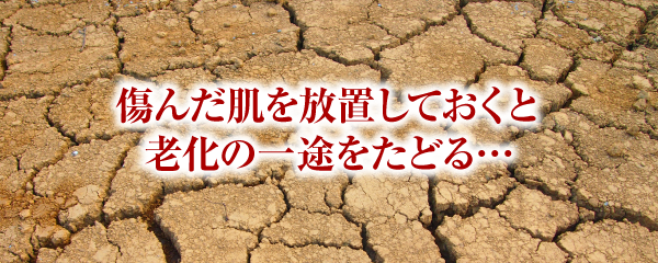 傷んだ肌を放置しておくと老化の一途をたどる…