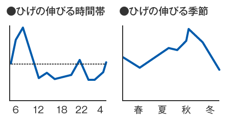 ひげの伸びる時間帯　ひげの伸びる季節