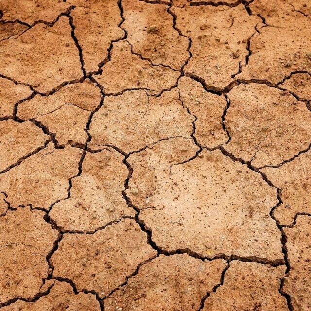 スキンケア講座,メンズコスメ, 男性化粧品通販｜ザスインターナショナル