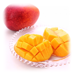 スキンケア講座,メンズコスメ, 男性化粧品通販｜ザスインターナショナル