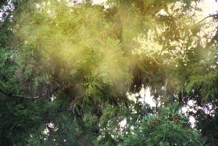 メンズスキンケア,メンズコスメ, 男性化粧品通販｜ザスインターナショナル