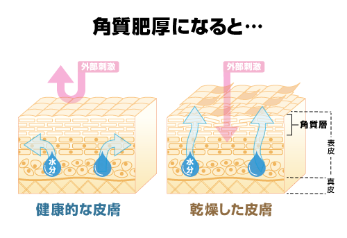 メンズスキンケア,メンズコスメ, 男性化粧品通販｜ザスインターナショナル