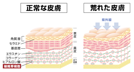 メンズスキンケア,メンズコスメ, 男性化粧品通販｜ザスインターナショナル